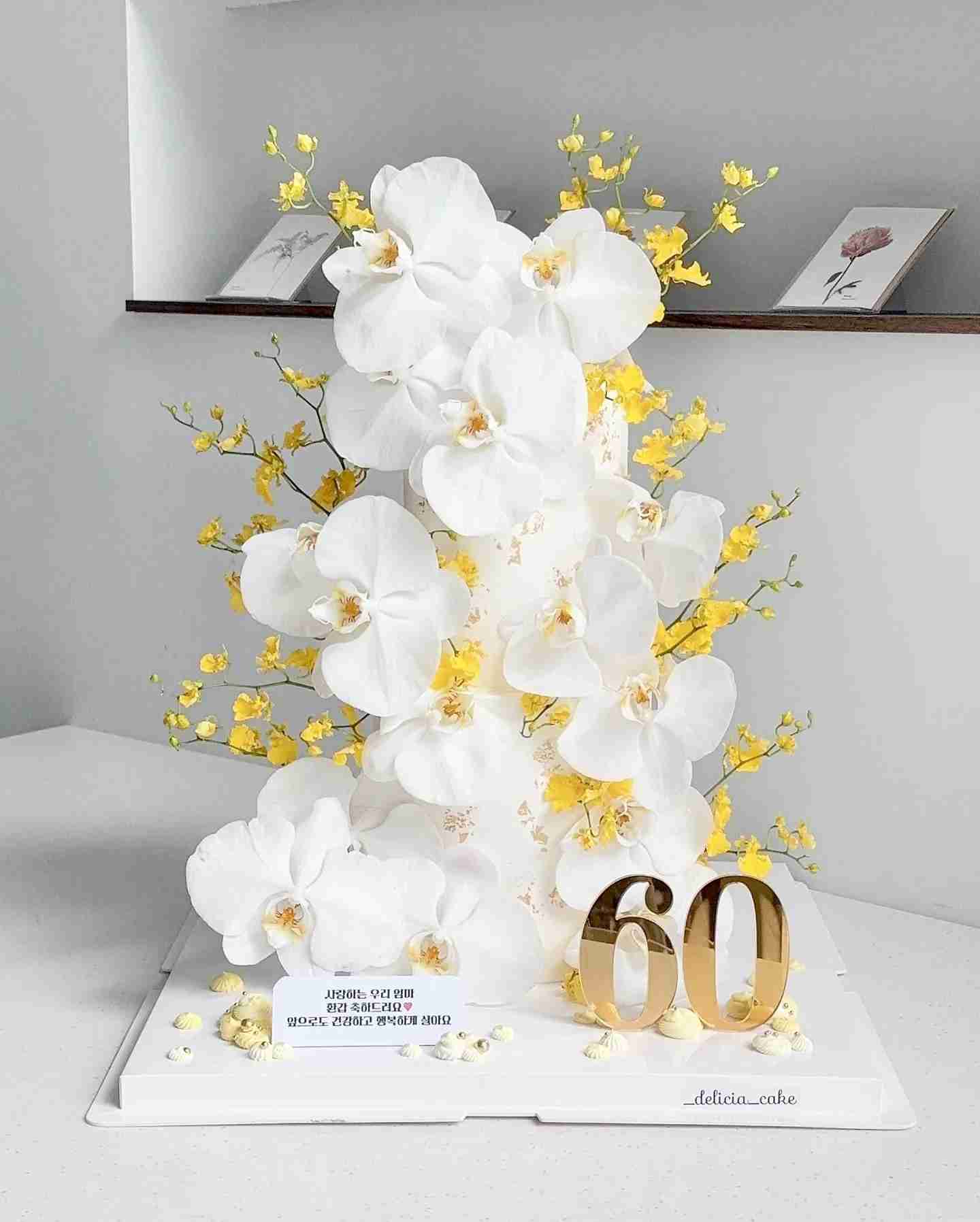 Orchid Special 호접스페셜