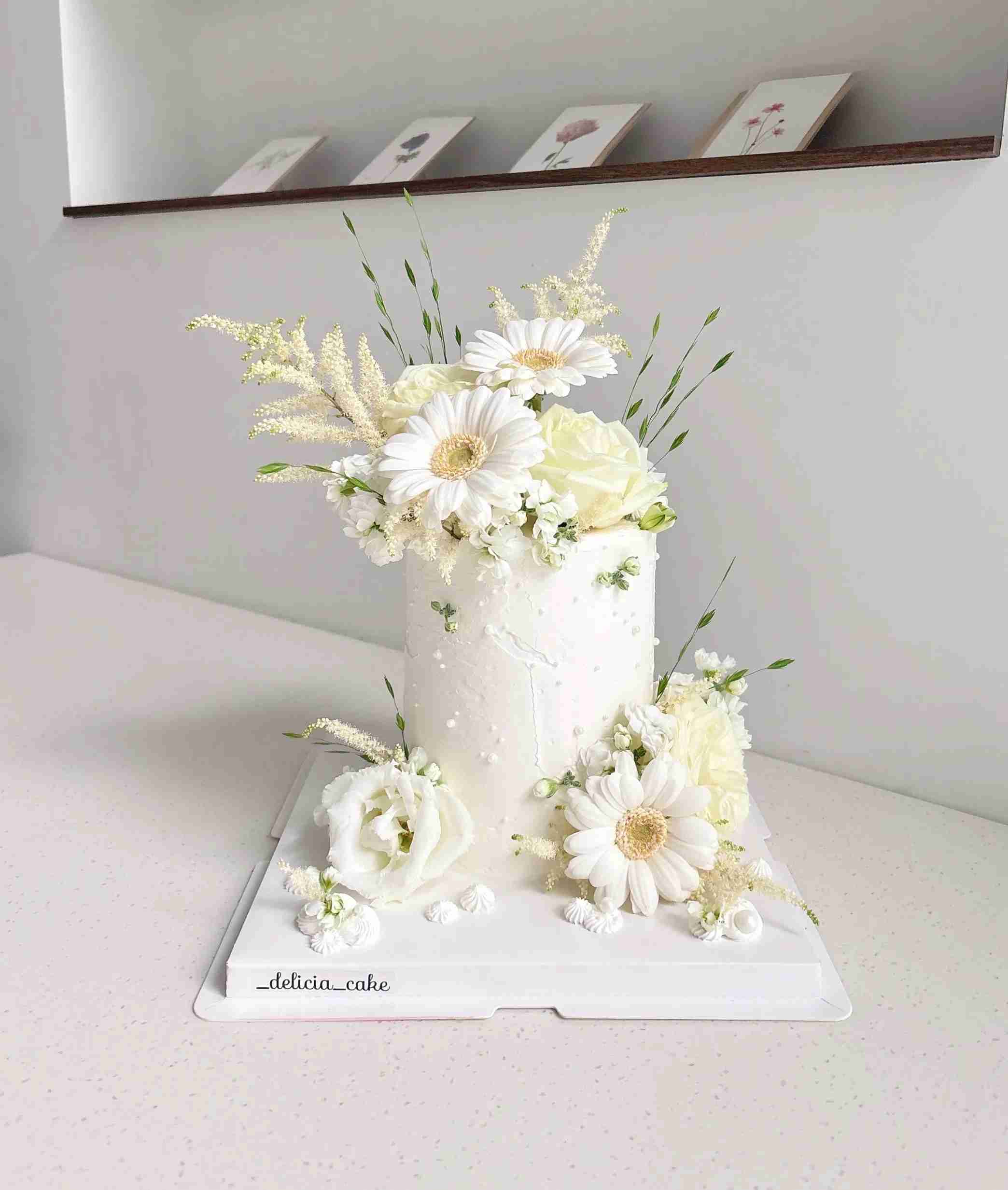 Gerbera Jardin 거베라 쟈흐뎅